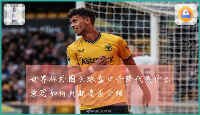 世界杯外围买球盘口升降代表什么意思如何判断是否合理