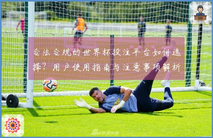 合法合规的世界杯投注平台如何选择?用户使用指南与注意事项解析