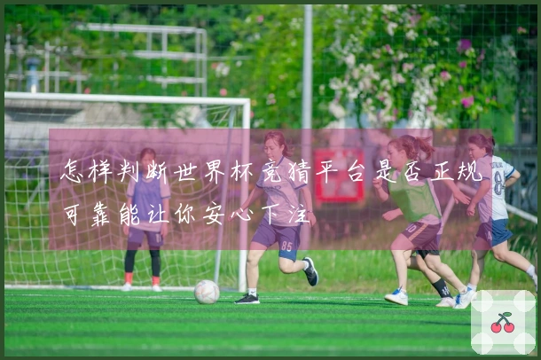 怎样判断世界杯竞猜平台是否正规可靠能让你安心下注