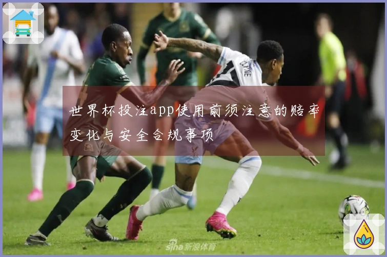 世界杯投注app使用前须注意的赔率变化与安全合规事项